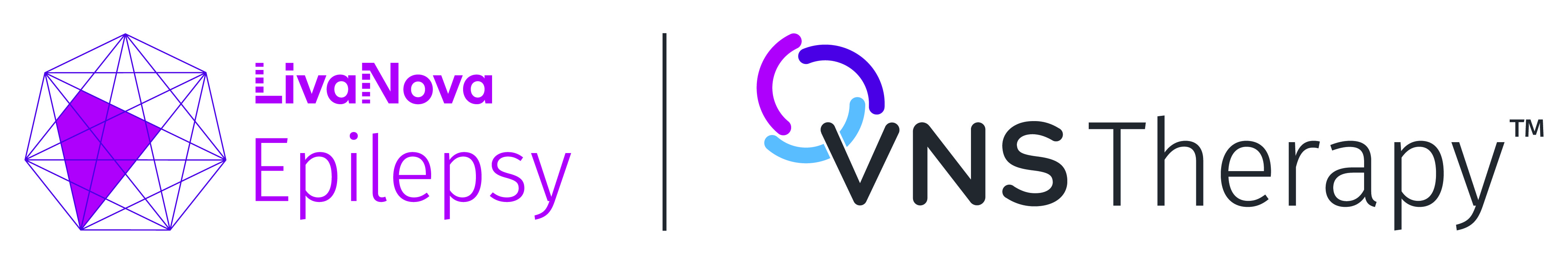VNS 1